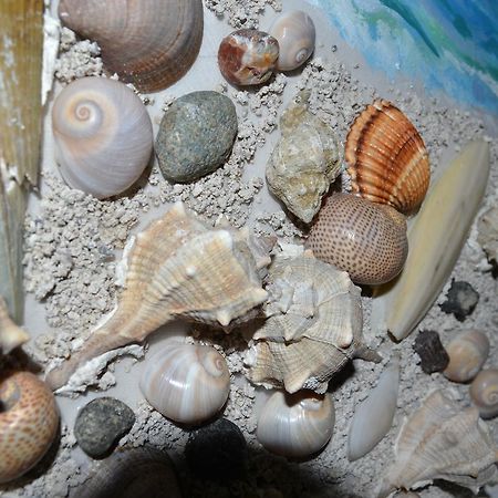 Seashell Art Decor Studio & Parking فلورا المظهر الخارجي الصورة
